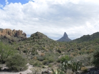 View of Weavers Needle